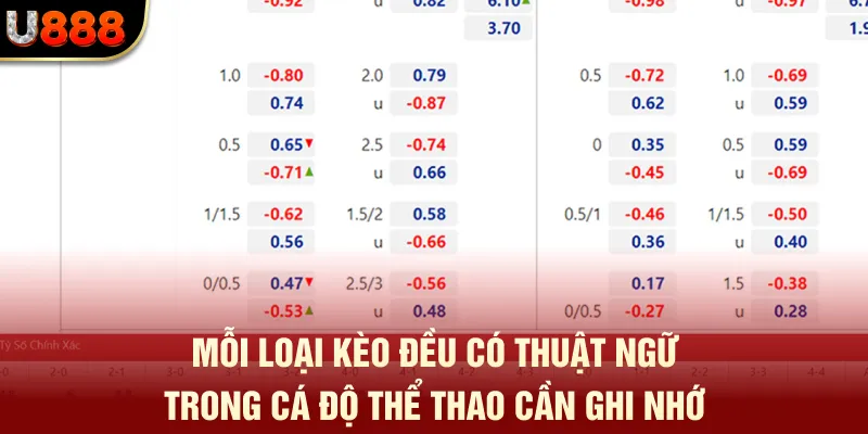 Thuật Ngữ Trong Cá Độ Thể Thao - Hội Viên U888 Cần Nắm 2 Mỗi loại kèo đều có thuật ngữ trong cá độ thể thao cần ghi nhớ